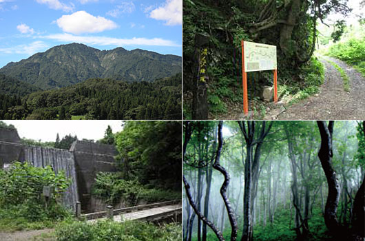 湯ノ沢岳 山開き登山