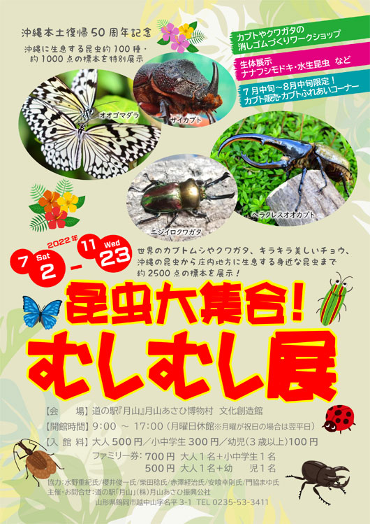 昆虫大集合！ むしむし展 | あさひむら観光協会イベント情報