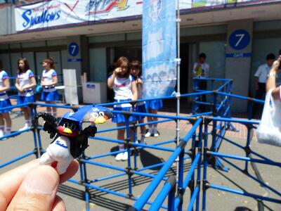 rps20170604_212108_507.jpg