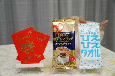 DSC07368.JPG