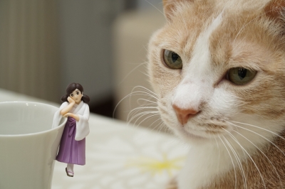 おパンツが見えてないなんてメズラシイ〜! DSC08920.JPG