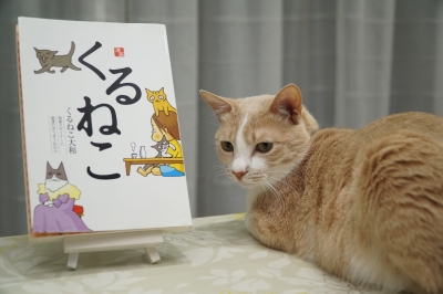 前から読んでみたいと思ってたんです DSC00325.JPG