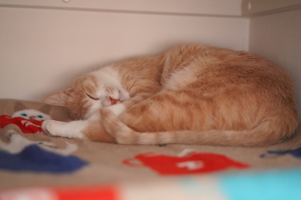 20180331-DSC00798.jpg