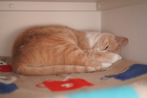 20180331-DSC00804.jpg