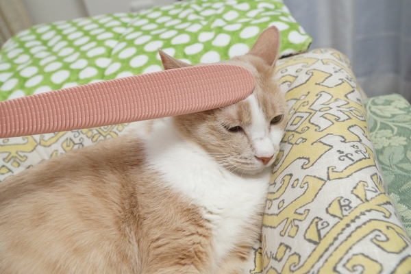 20180525-DSC05070.jpg