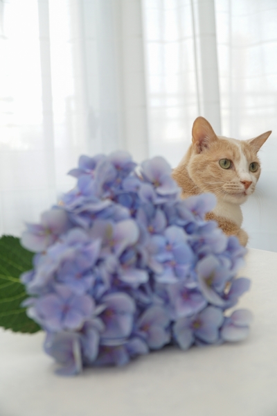 20180628-DSC06048.jpg