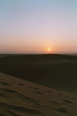 White dune¤ÎÄ«¾Æ¤±