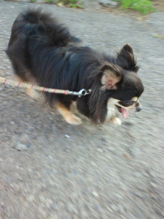2011071805380000.jpg