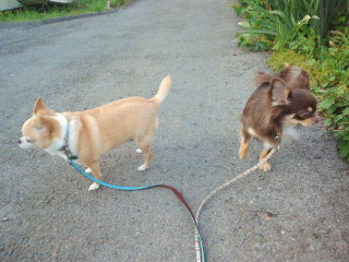 2011071804540000.jpg