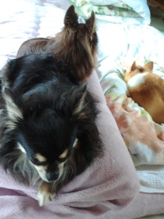 2011081508240000.jpg