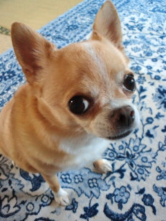 2011081415500002.jpg