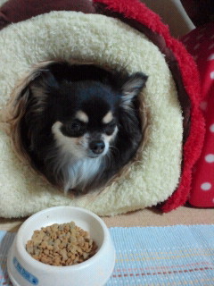 2011090418280001.jpg