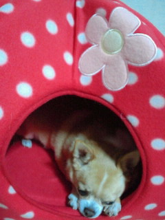 2011090418150000.jpg