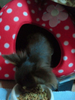2011090418260001.jpg