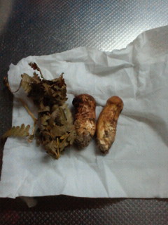 2011101005270000.jpg