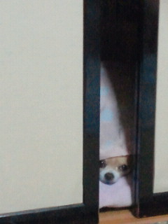 2011102005330000.jpg