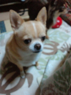 2011112918190000.jpg