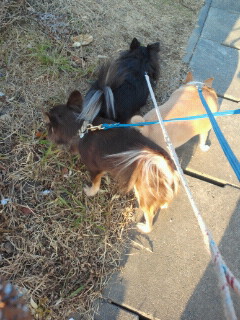 2011123115120001.jpg
