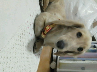 2012010913580000.jpg