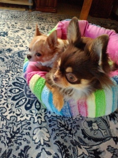 2012020914150002.jpg