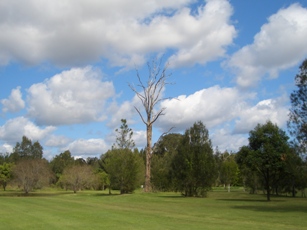 golf