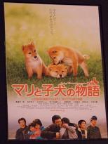 これは絶対に見て欲しい映画です。