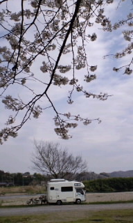 100411_0953~010001.jpg