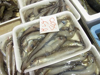 RIMG0153.JPG