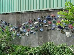 お魚