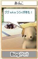 あんこちゃん