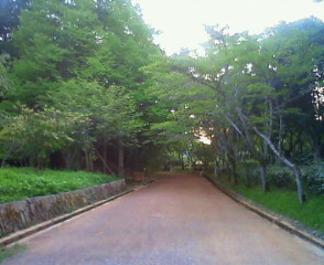200907181845003.jpg