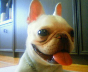 200909031053000.jpg