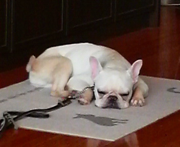 2009090412590000.jpg