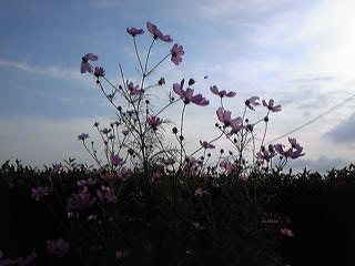 090927_153459_ed.jpg