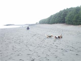 三保の海岸1