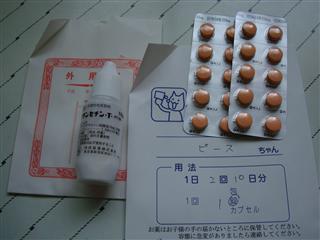薬