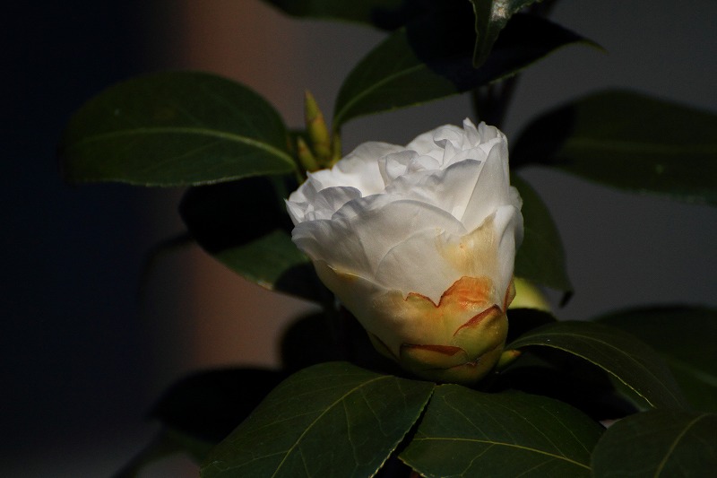 DPP_0027.jpg