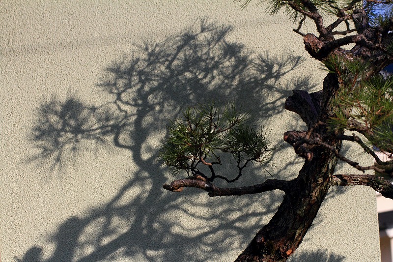 DPP_0028.jpg