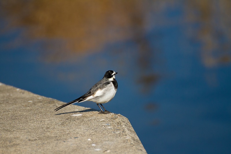 DPP_0009.jpg