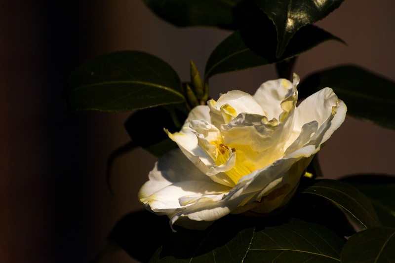 DPP_0011.jpg