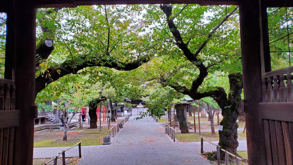 祐天寺…… | My First JUGEM