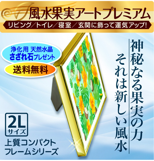 風水果実アートプレミアム2L商品紹介
