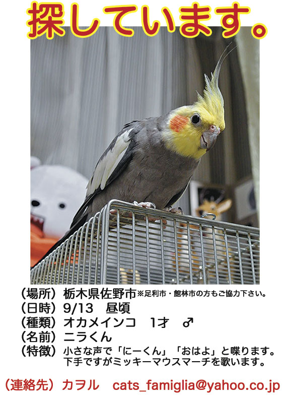 ニラくん
