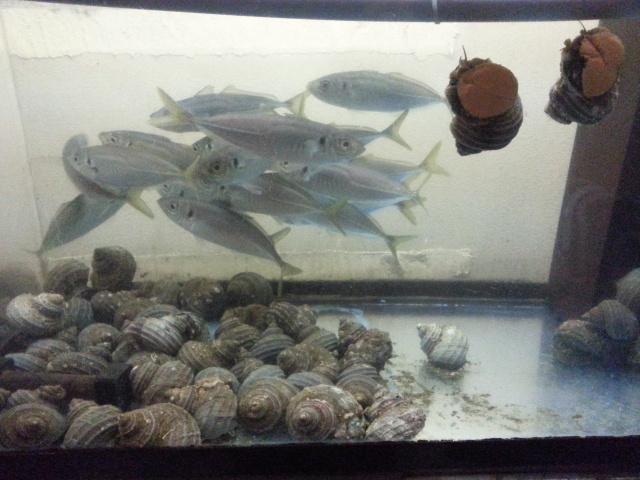20131215_203828.jpg