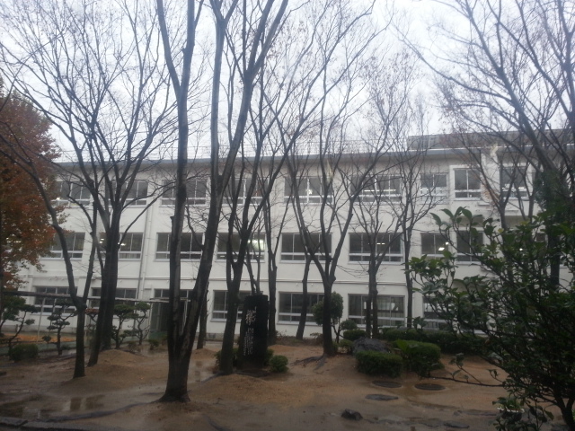 20131218_144258.jpg