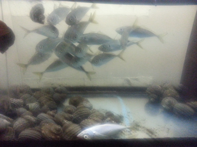 20131221_195005.jpg