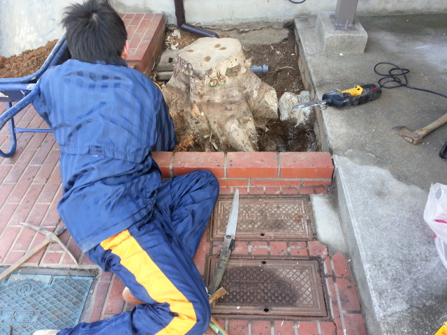 20131227_103714.jpg