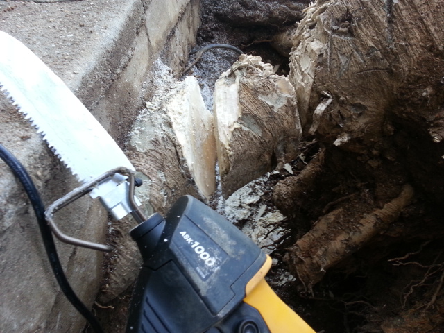 20131227_104745.jpg
