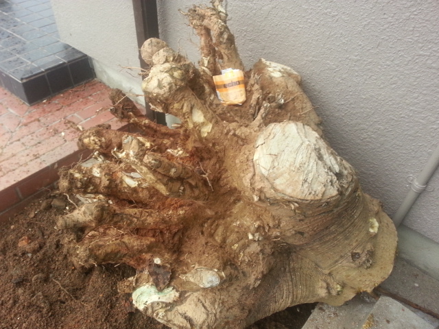 20131227_154955.jpg