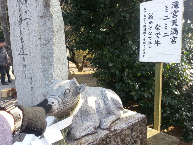 20140101_101240.jpg